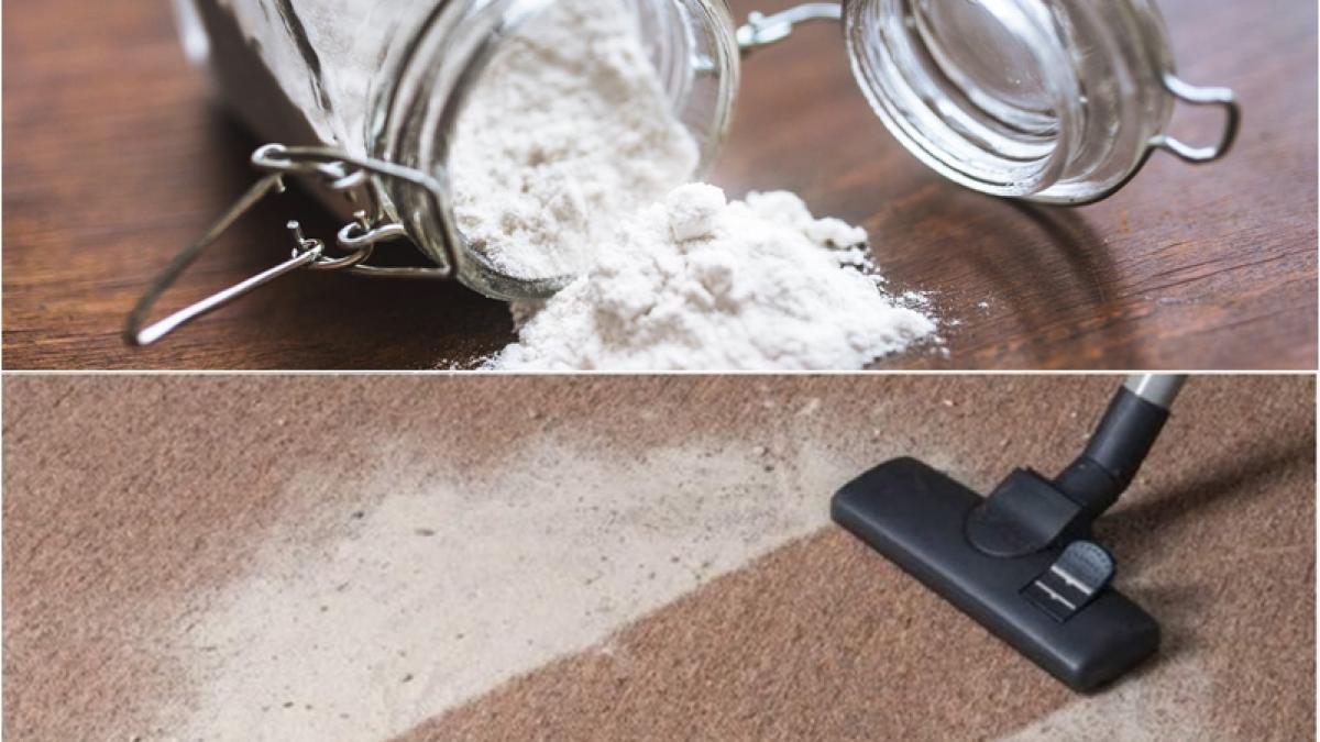 amidon-covor_50703200