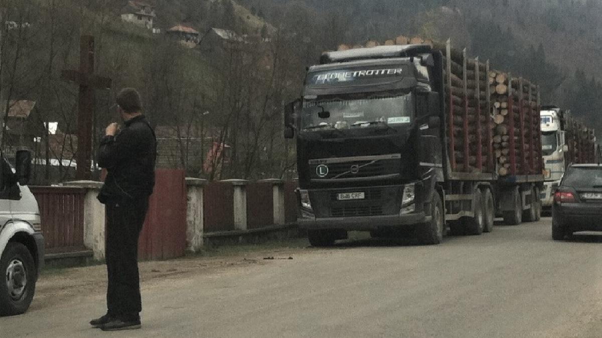 camion_ilegal_lemne_fb_19083600