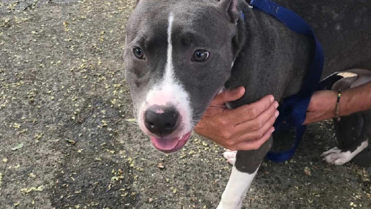 caine_salvat_river_america_fb_34994000