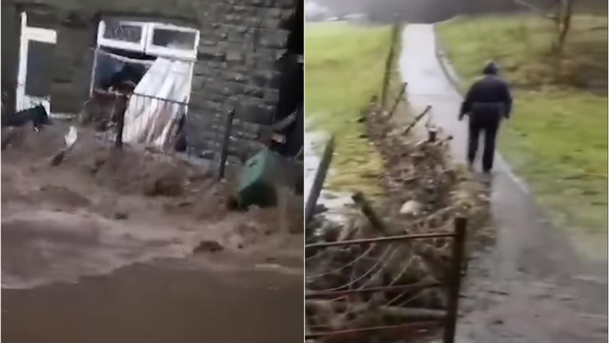 furtuna-dennis_87700700