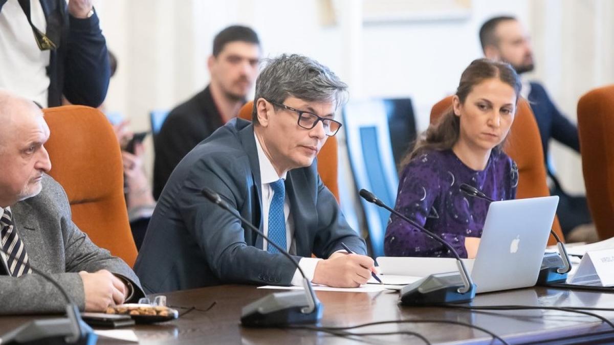 popescu_ministru_economie_audieri_fb_46261200