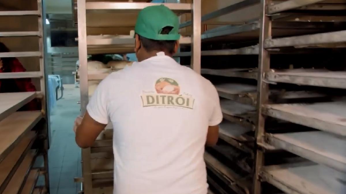 brutarie_ditrau_cpv_muncitori_59404700