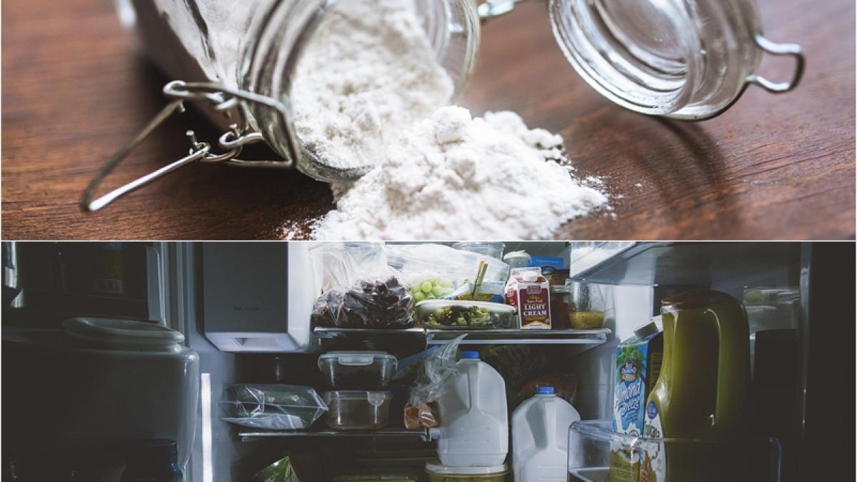 faina-in-frigider_81518400