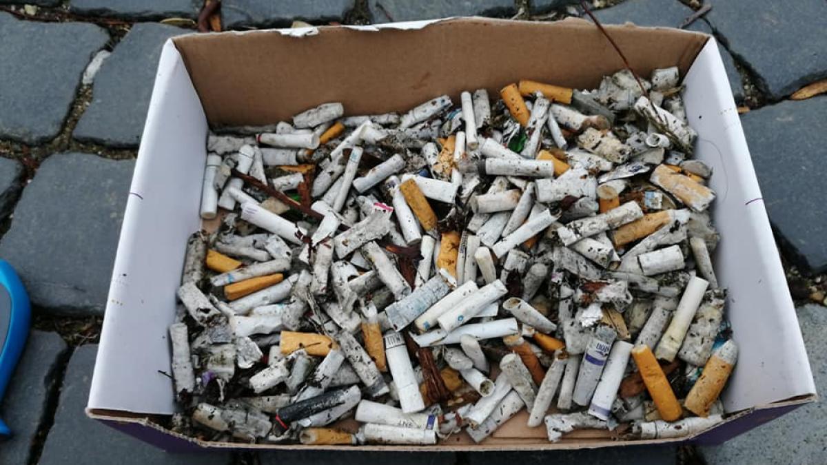 mucuri-tigari_68712400