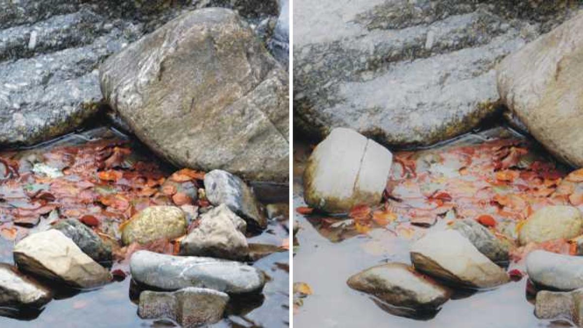 dif_jpeg_raw_format_foto_02243600