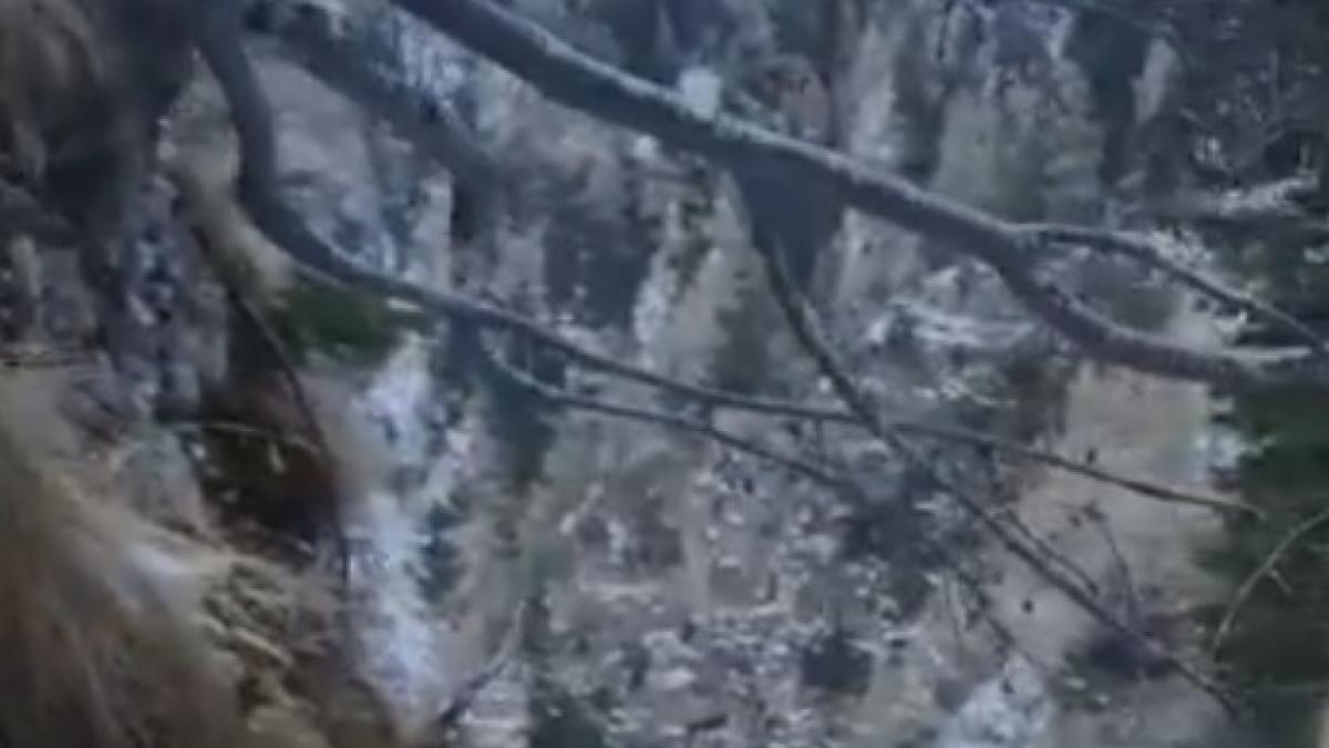 salvamont_sinaia_barbat_35698300