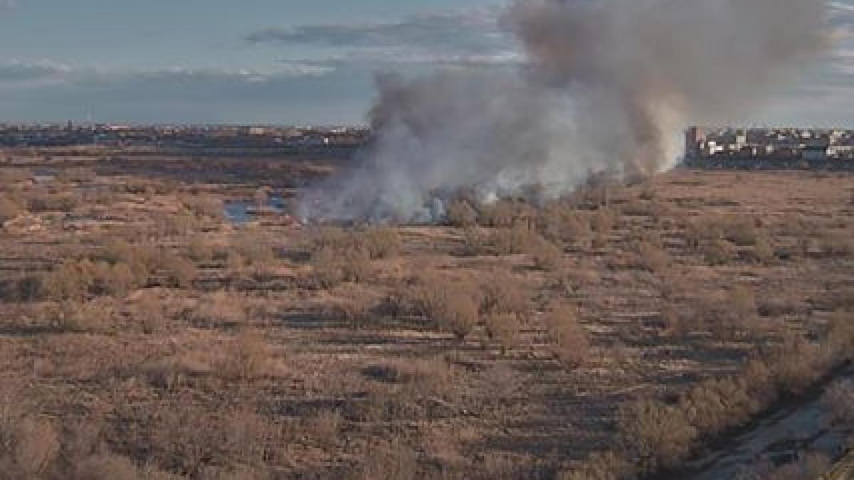 incendiu_delta_vacaresti_36674700