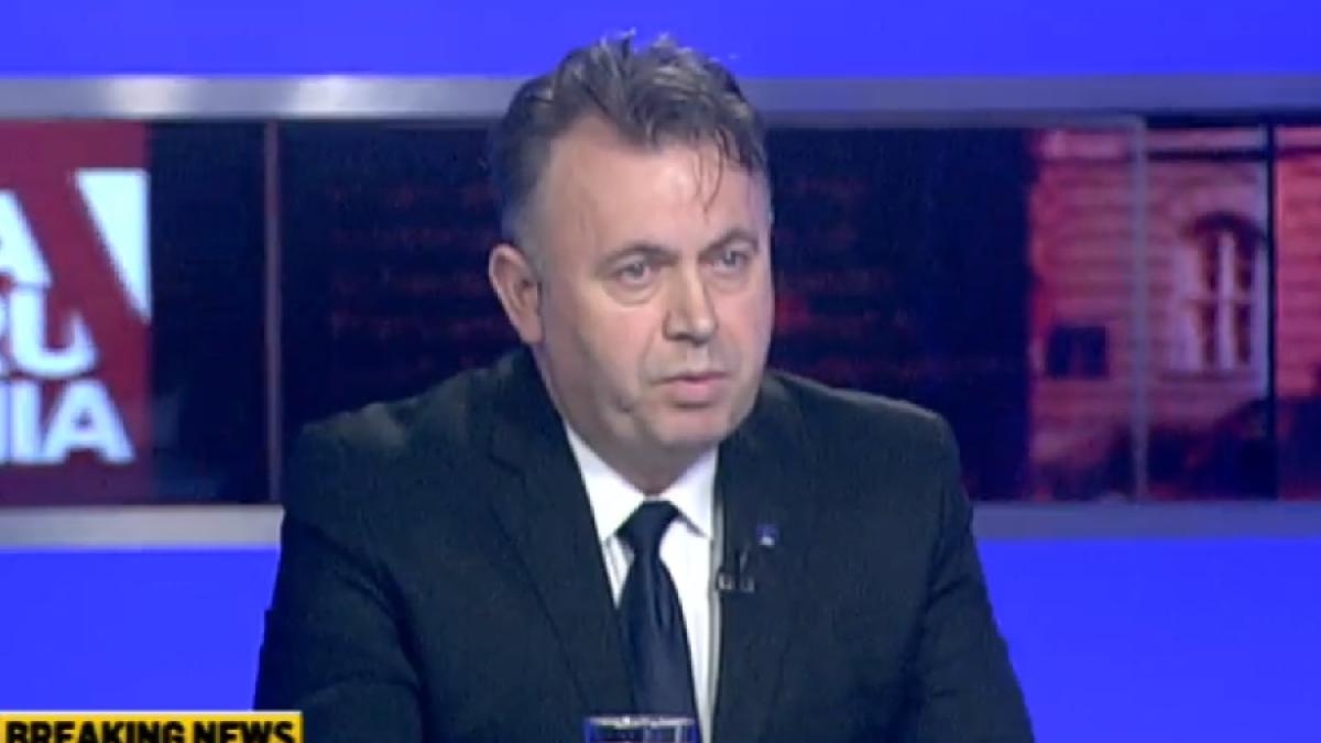 nelu_tataru_cpv_real_11950100