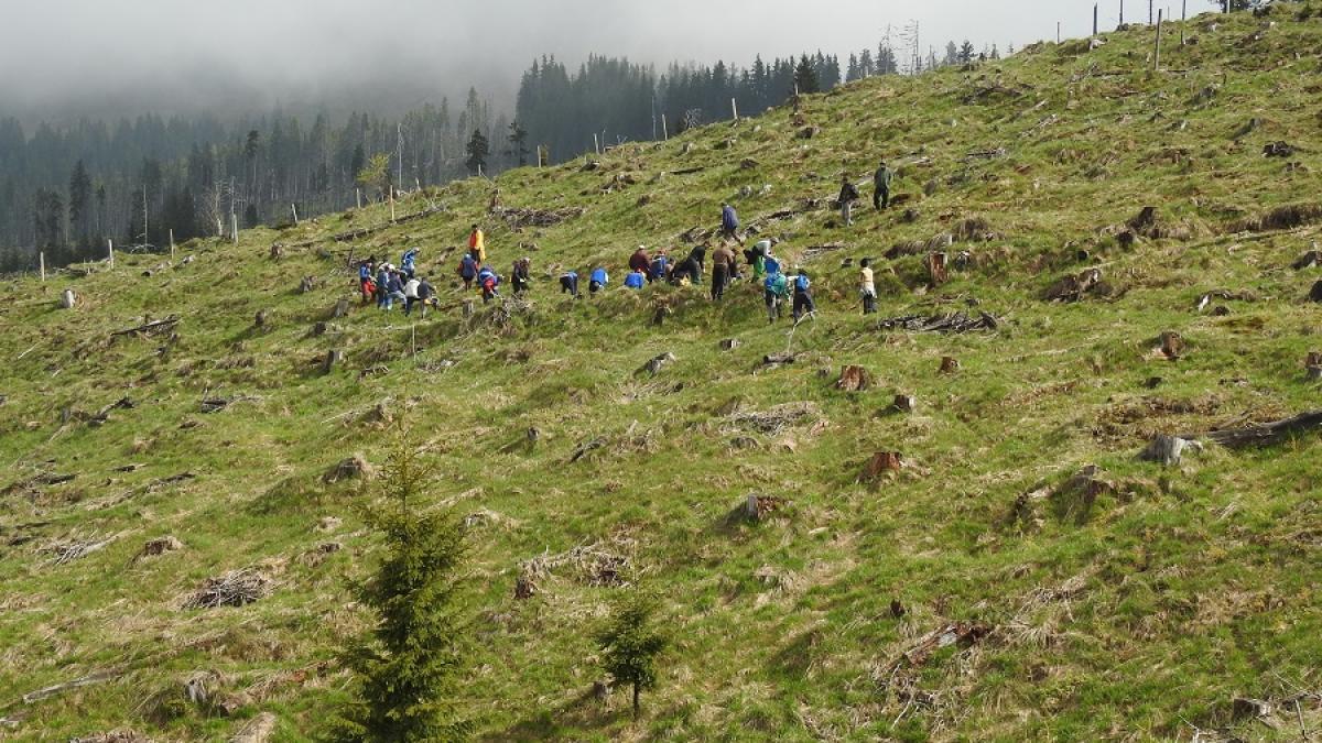 reimpadurire-_fcc_ionut-cretu_60262300