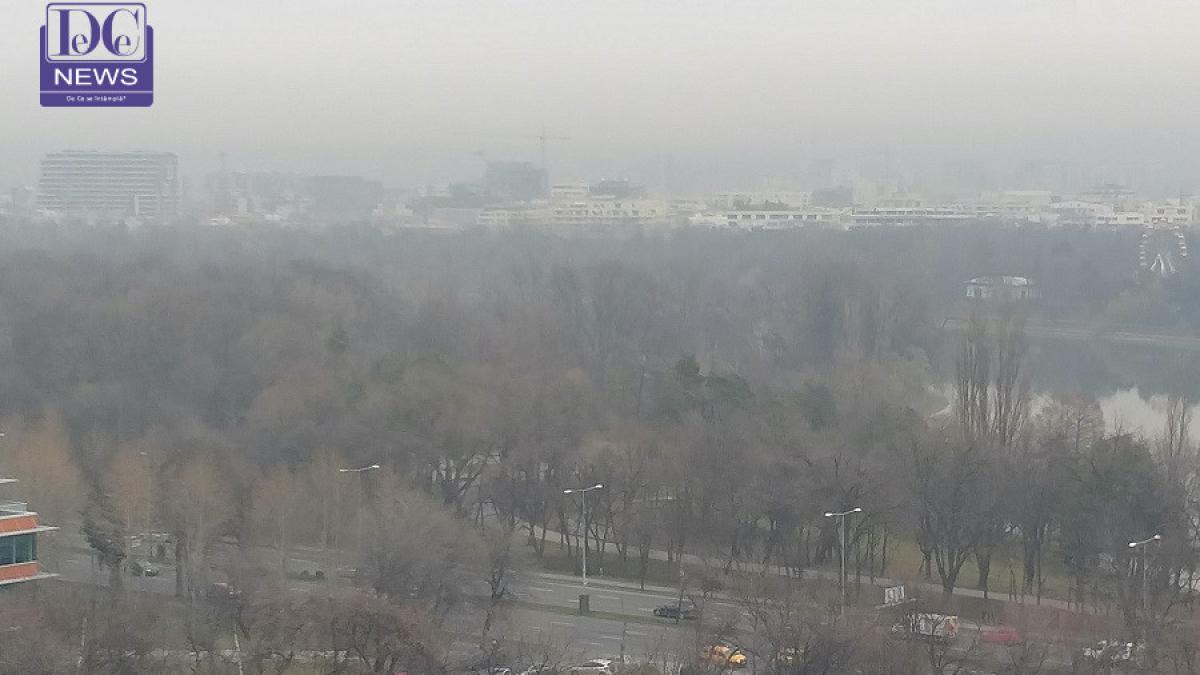 bucuresti_poluare_herastrau_casa_presei_dcn_02_84471100