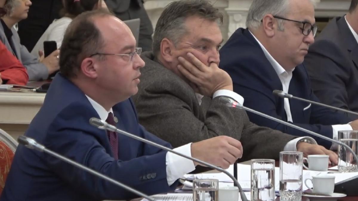 bogdan_aurescu_audieri_cpv_89747900