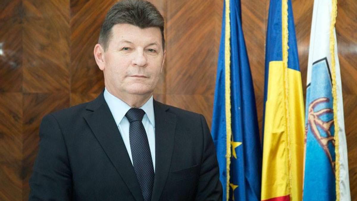 ninel-muja--presedinte-interimar-alde-gorj_28940900