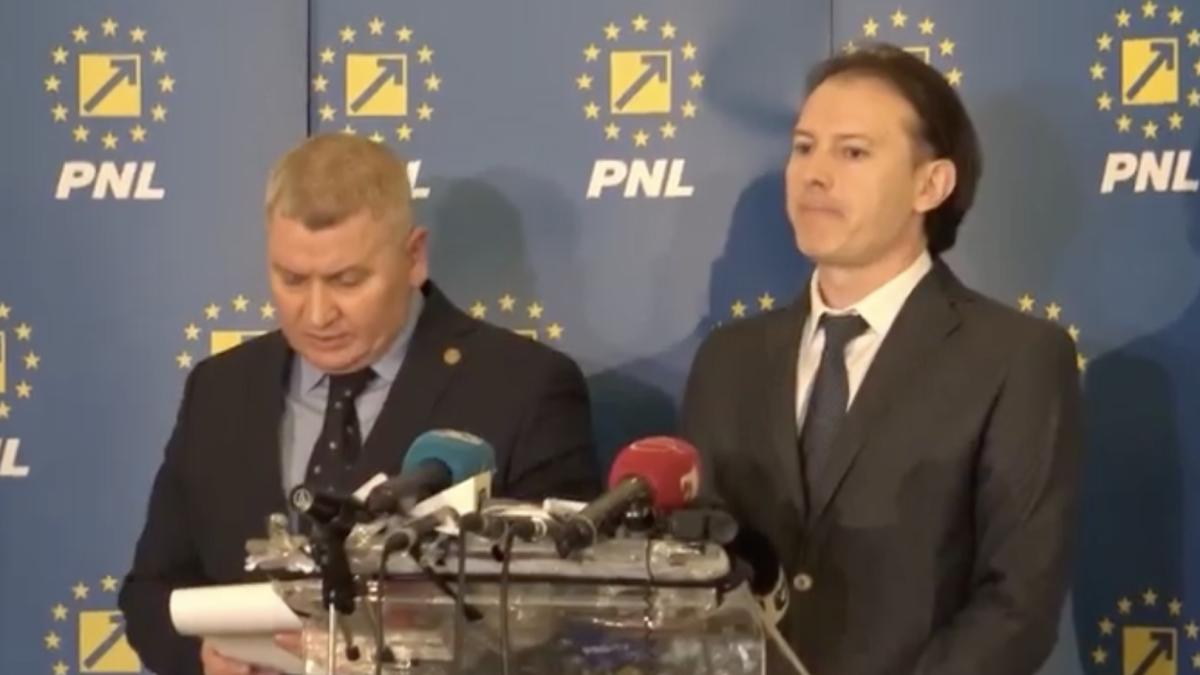 florin-roman-florin-citu_19766000