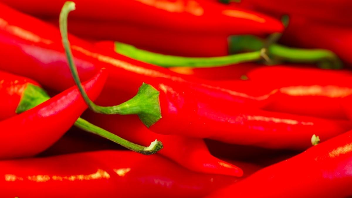 ardei_iute_red_hot_chilli_49789500