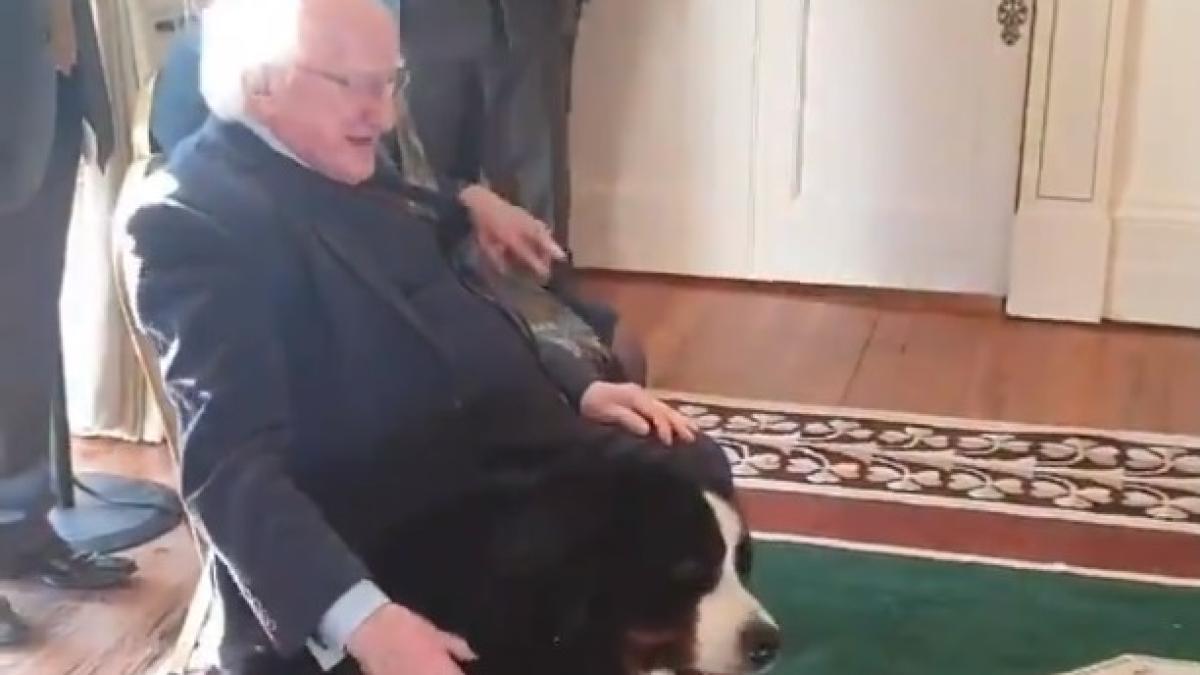 caine_presedinte_irlanda_cpv_62193900