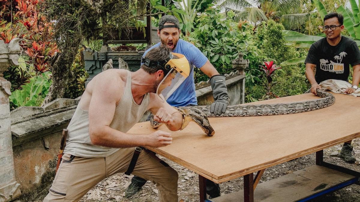 ilustrare-comunicat-de-presa_35525000