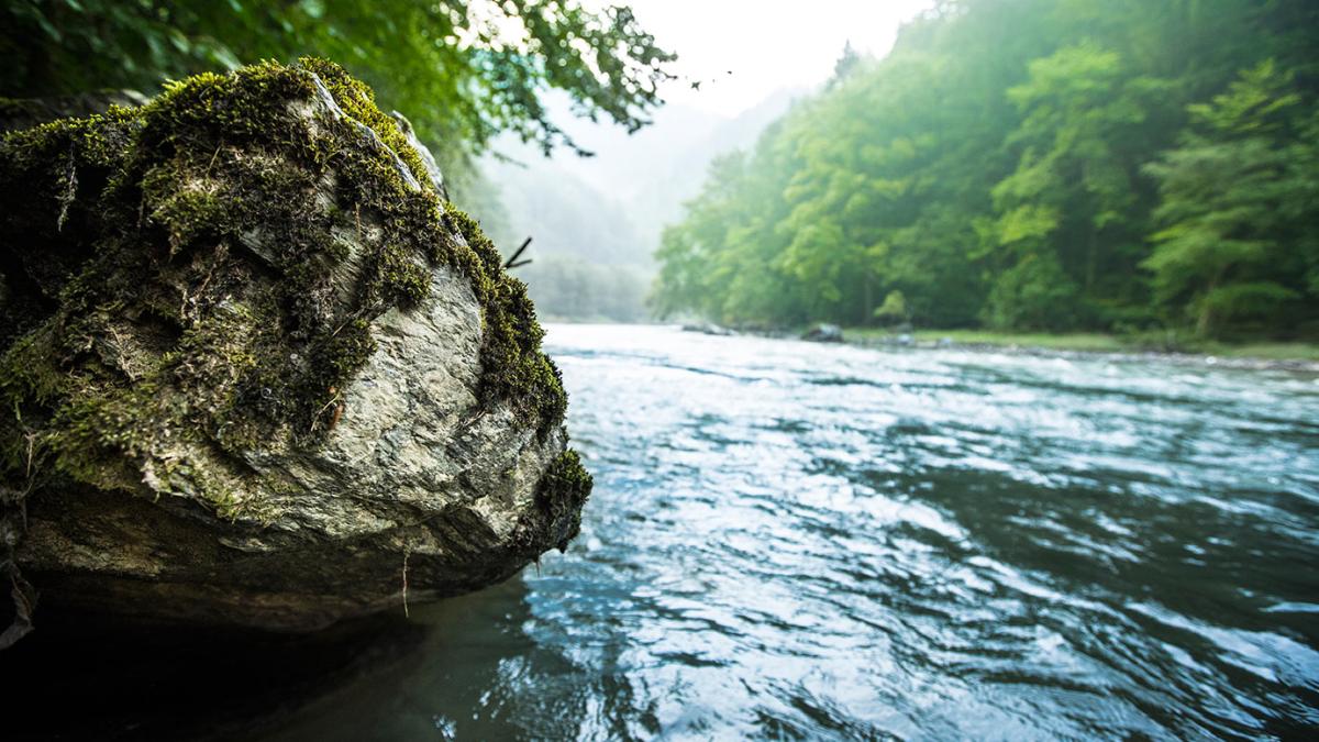 raul_bistrita1_32507600