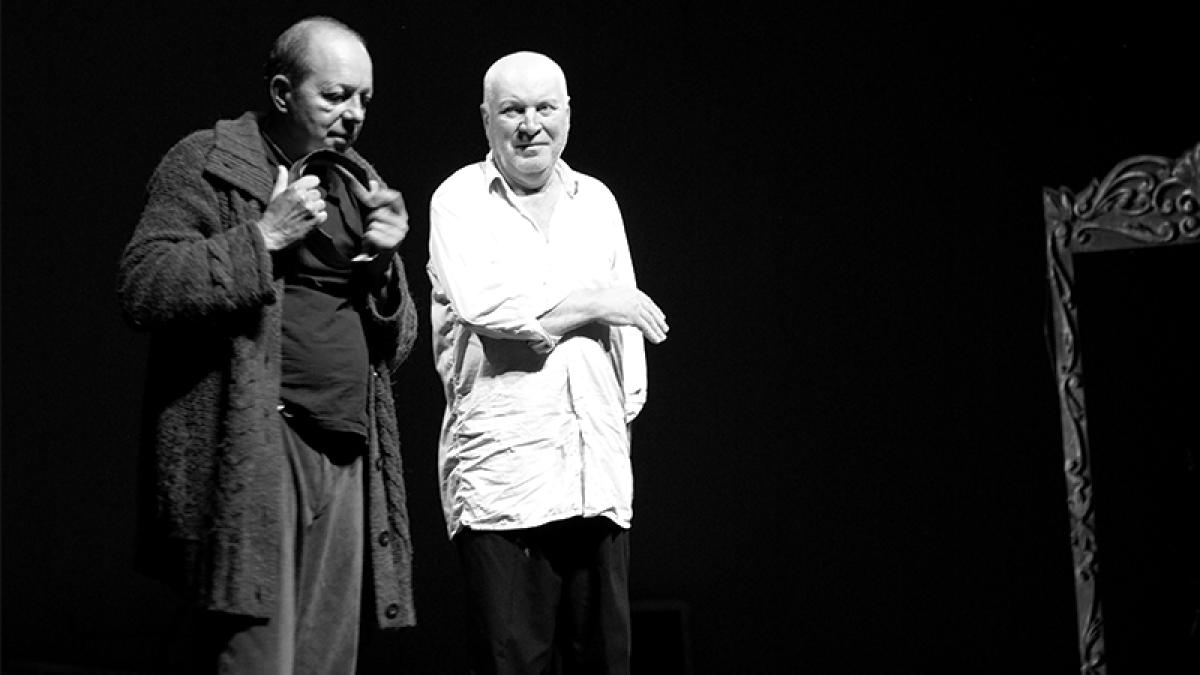 noaptea-bufonilor_24753900