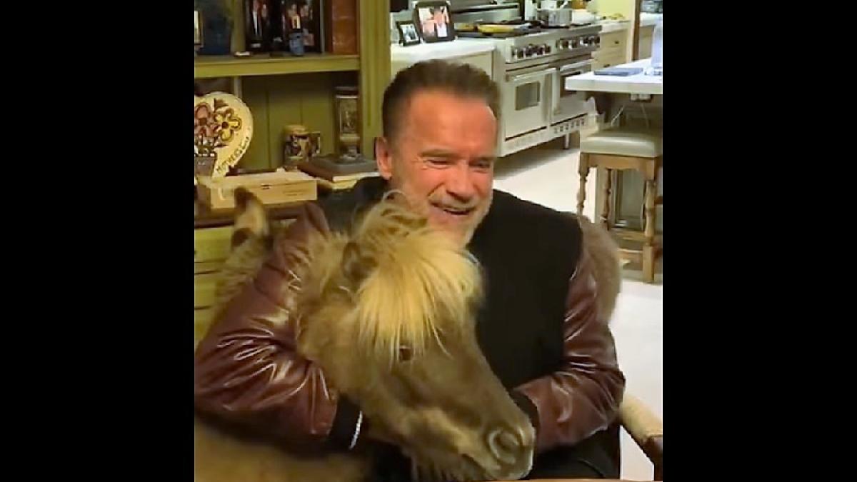 schwarzenegger_animale_corona_cpv_69839700