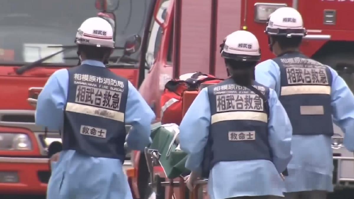 japonia_interventie_cpv_27010900