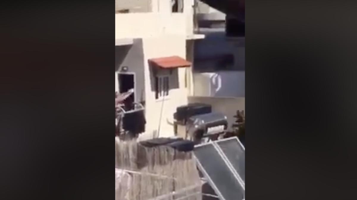 captura-de-ecran-din-2020-03-17-la-08-11-24_89014300