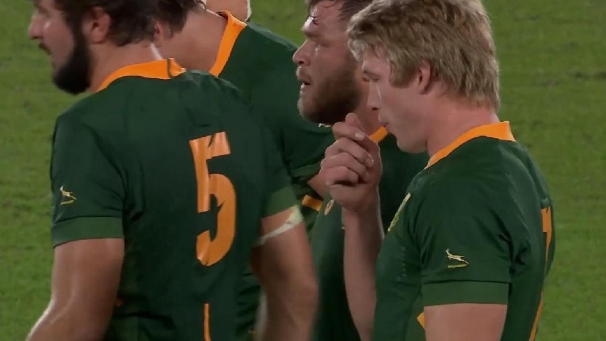 rugbist_africa-de-sud-cpv_58256100