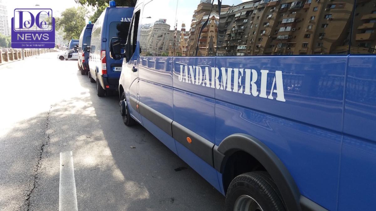 jandarmi_masini_010_61987600