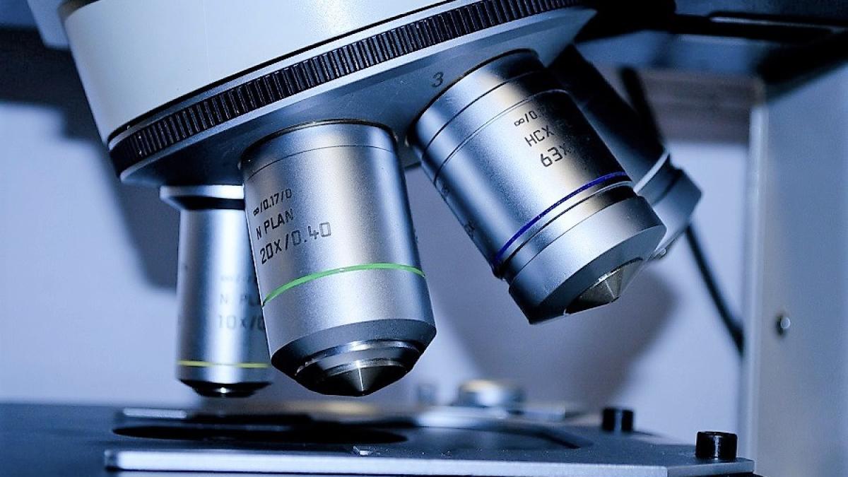 microscop_test_testare_pxb_39021400