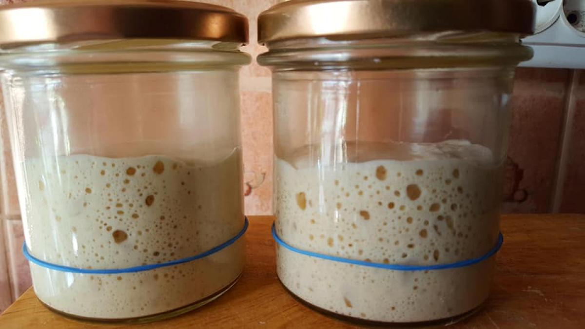 maia-naturala-dorjdie_37576700