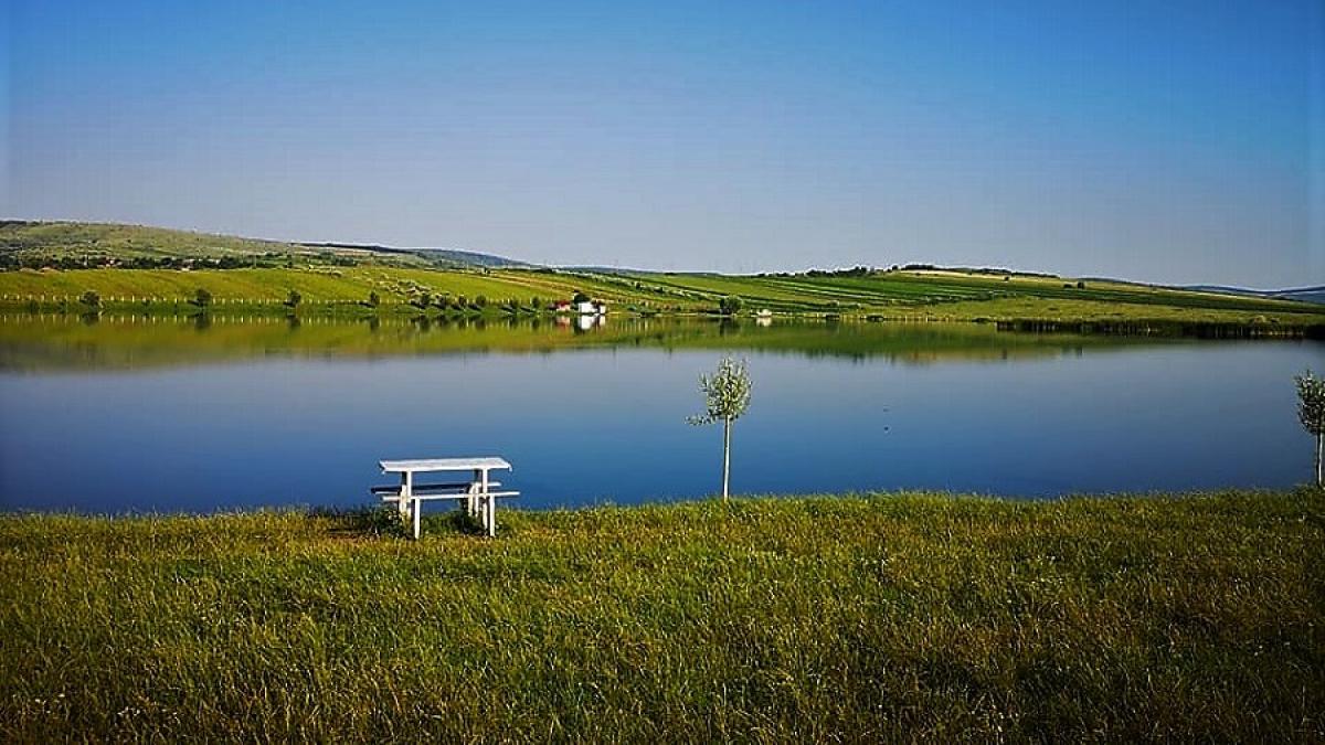 balta_gugesti_fb_21342100