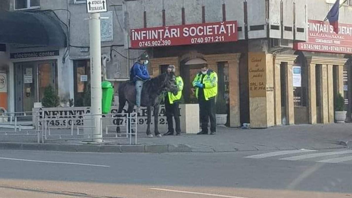 tanar_calare_iasi_71058500