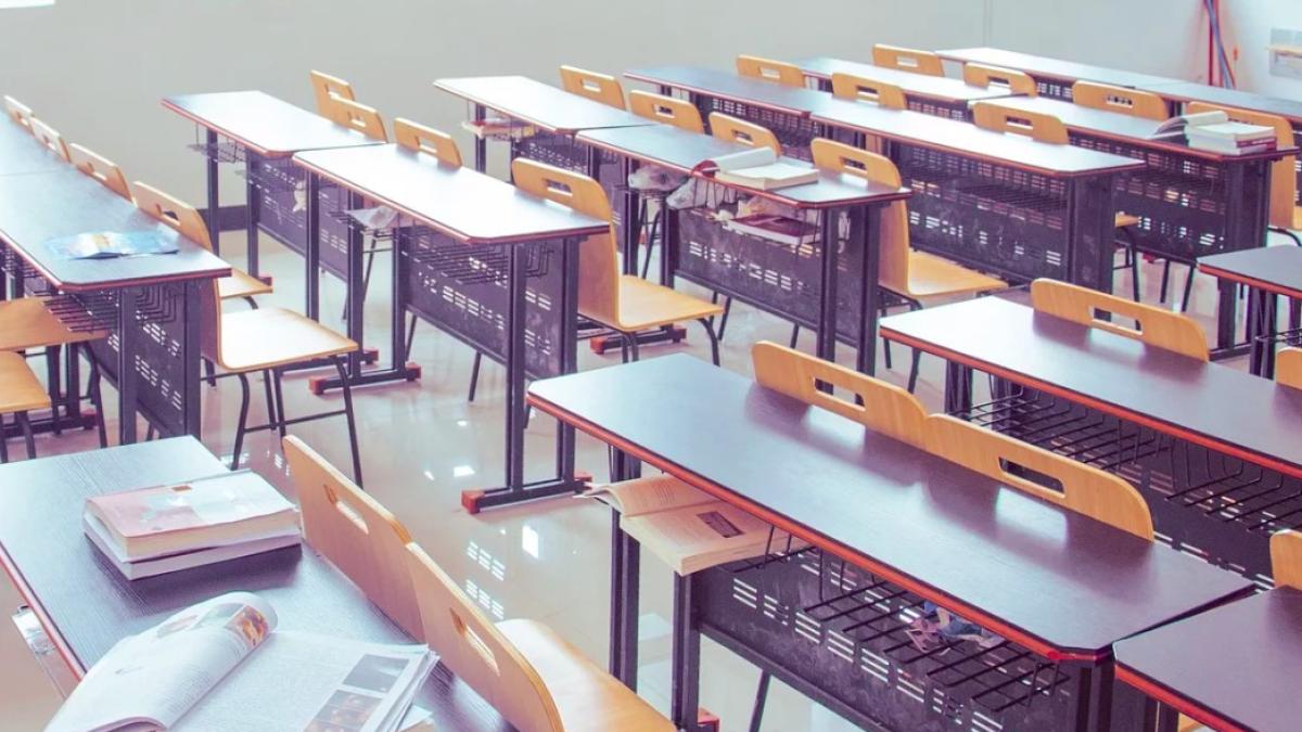 studenti_curs_marea_britanie_52831300