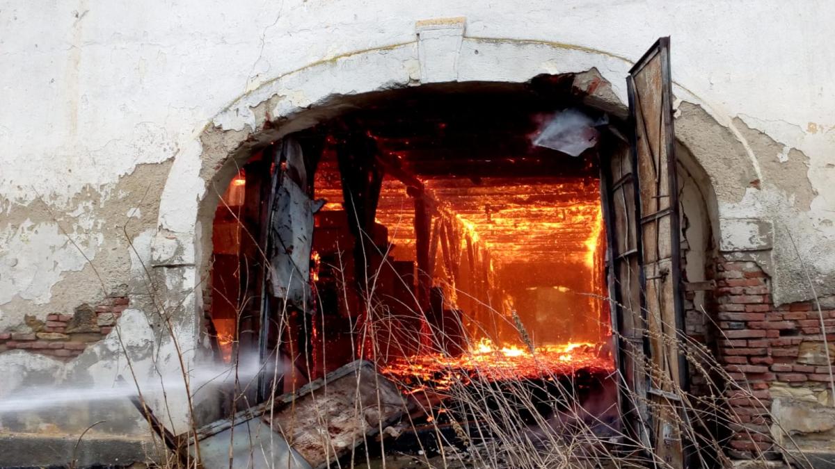 89216027-14cc-48f1-98b6-a0ebf7eb8882_45881100