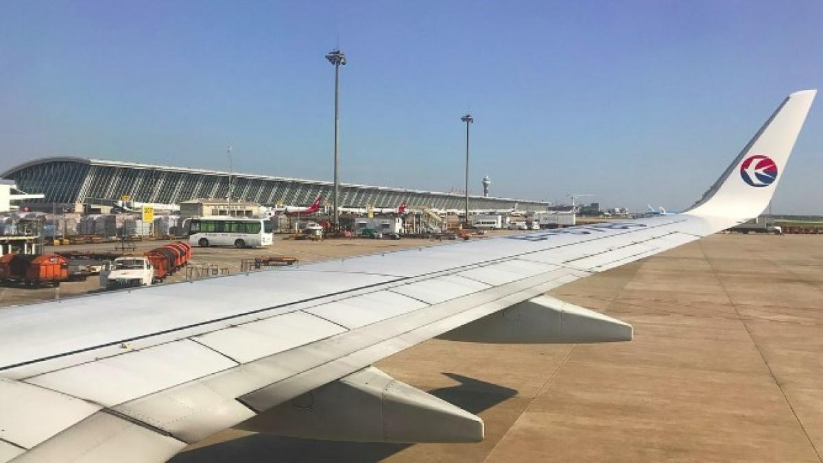 transport_de_masti_franta_sua_china_78724000