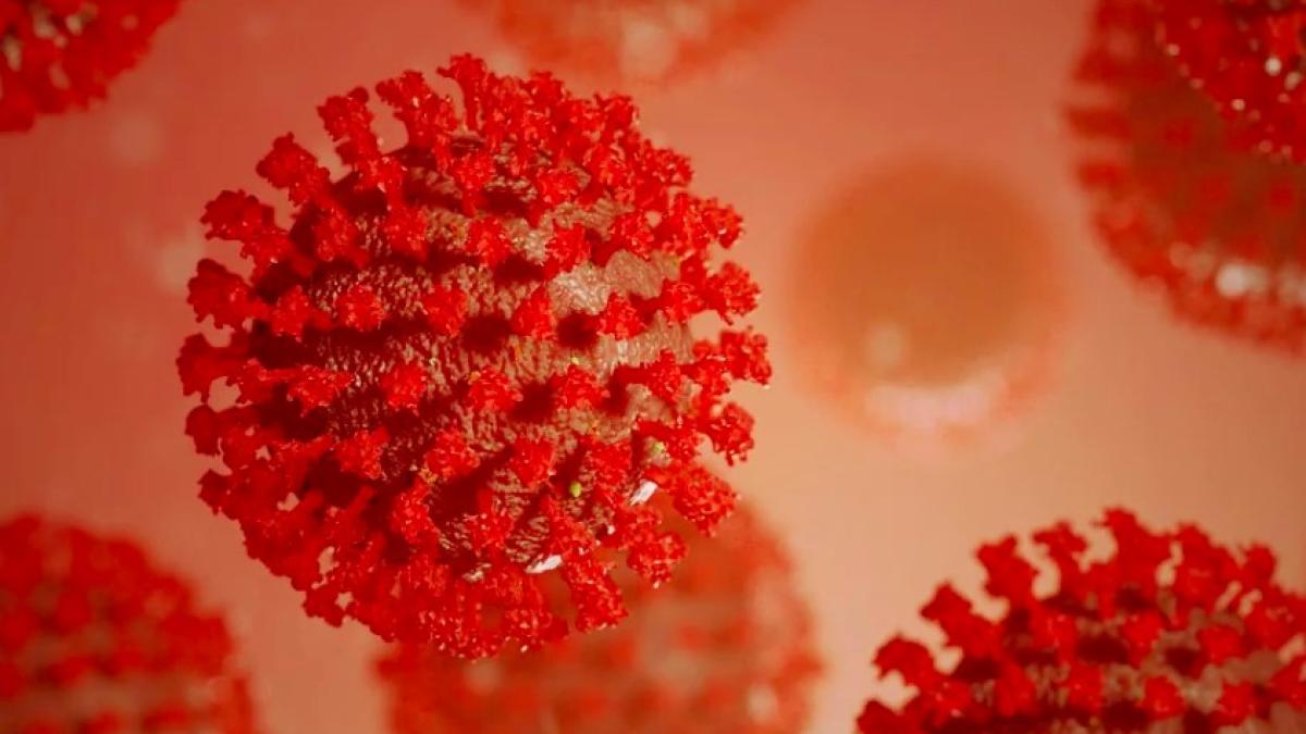 covid_19_coronavirus_05213600