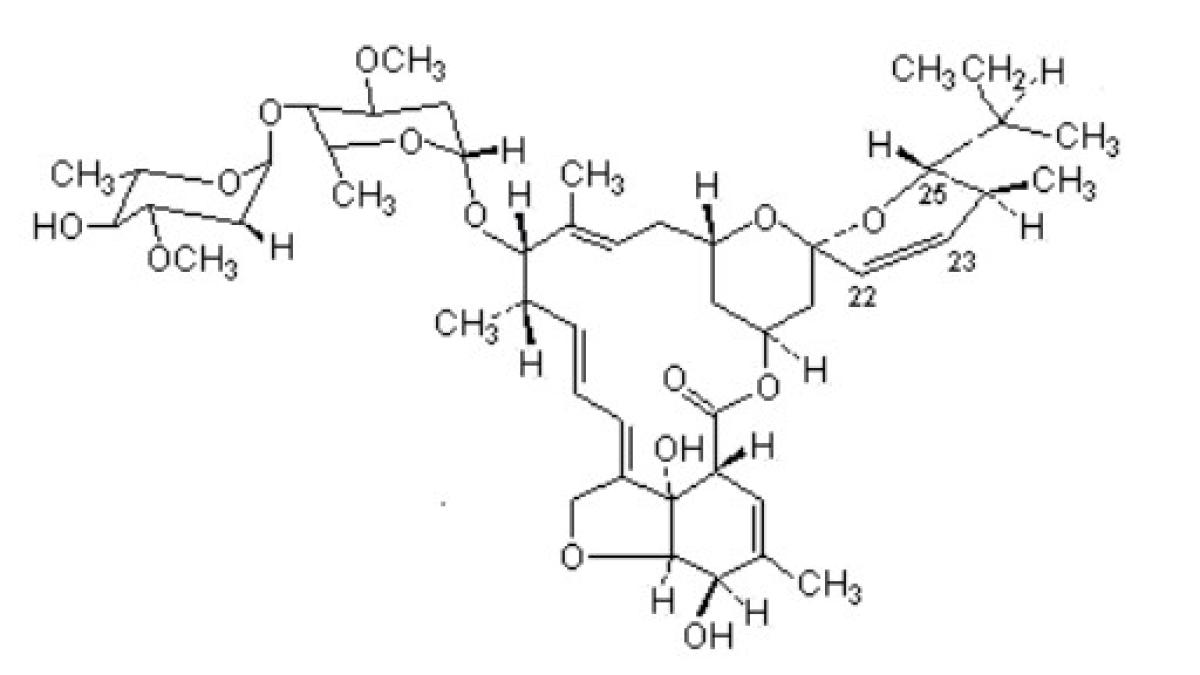 ivermectina_tratament_covid-19_69435200