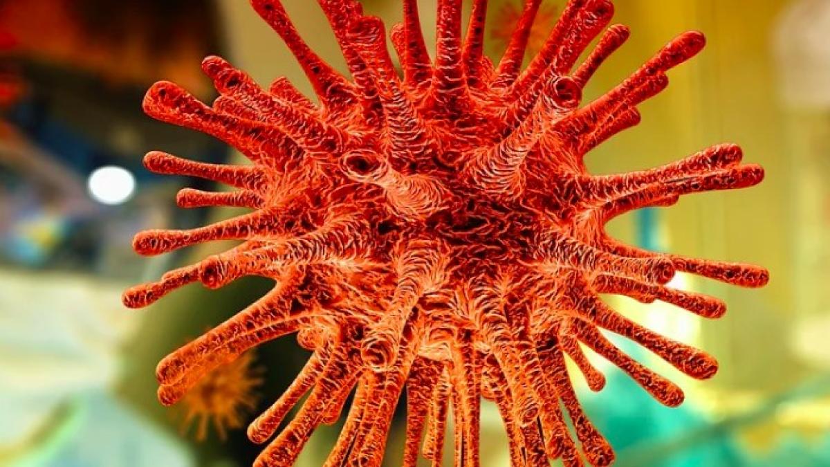 coronavirus_expert_pandemie_31838700