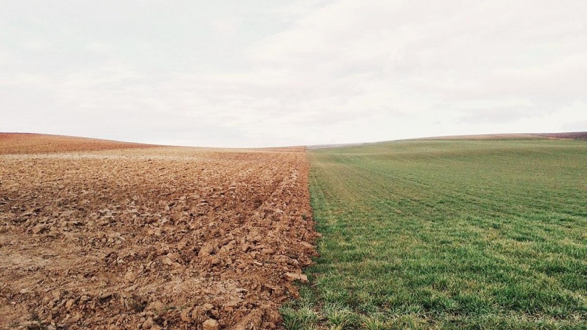 agricultura-aratura-camp-pxb_92900100