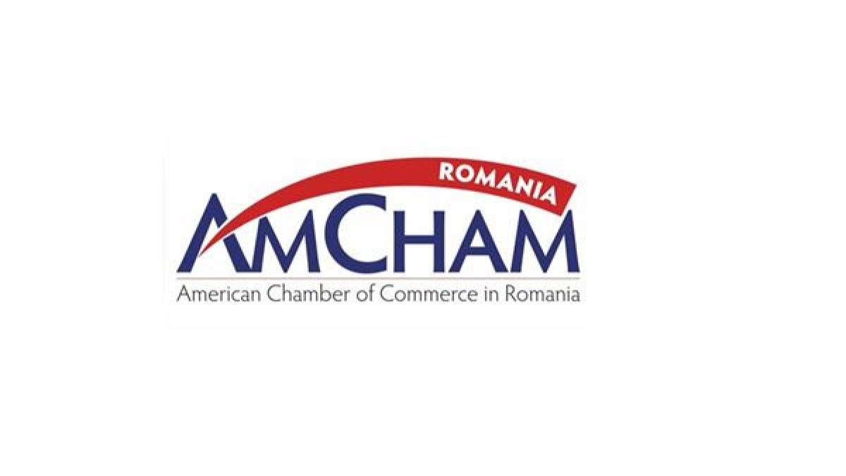 amcham_logo_50481700