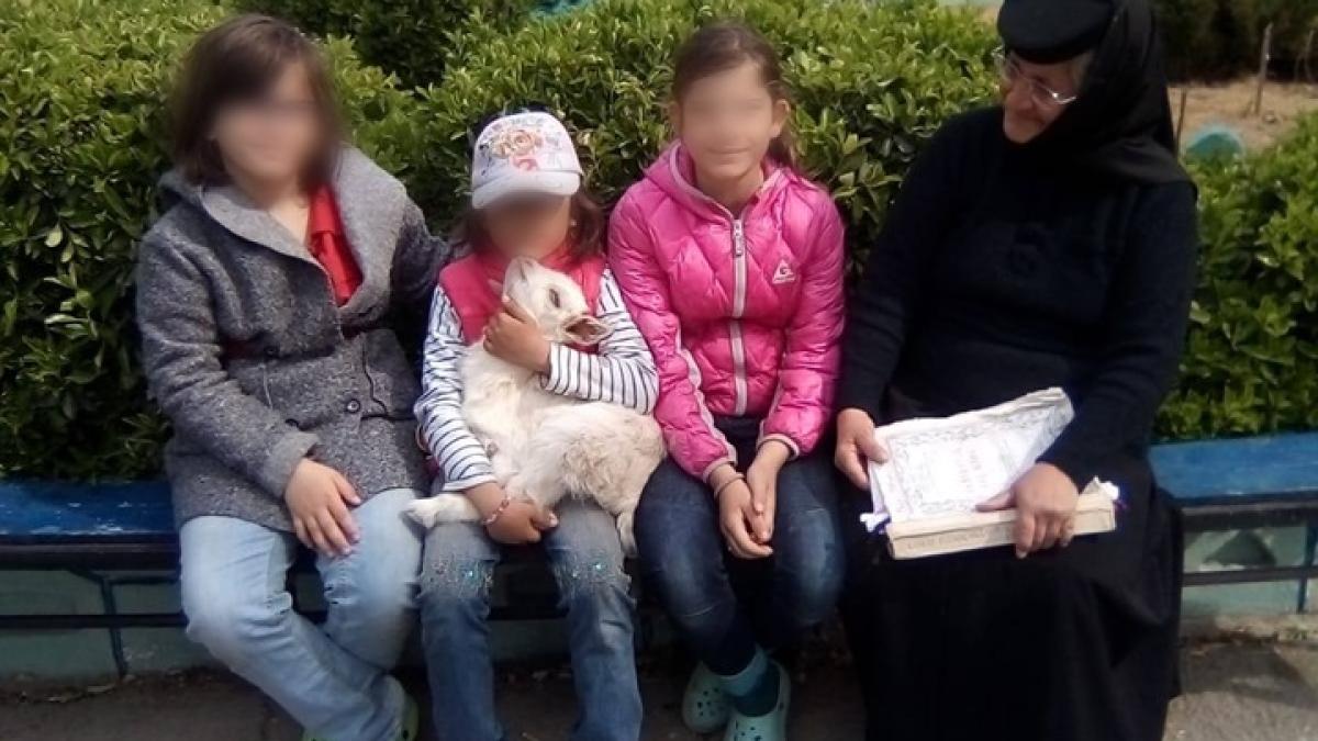 maicuta-veniamina-si-orfanii---constanta_09776700