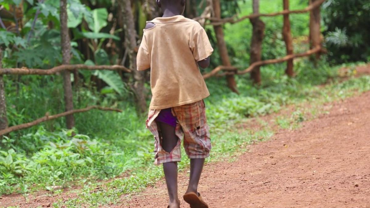 saracie_extrema_24240100