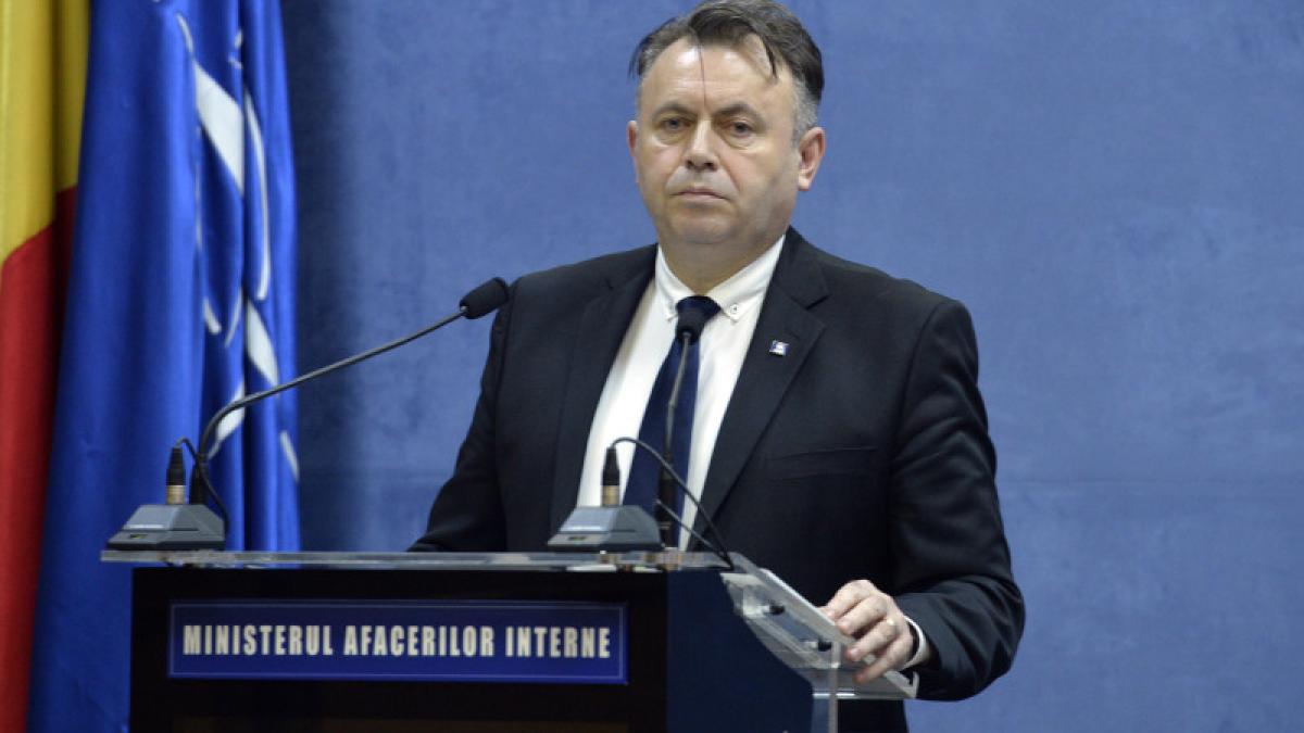 nelu-tataru_72836900