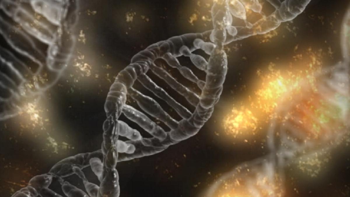 gene-adn-molecula-pxb_44465400