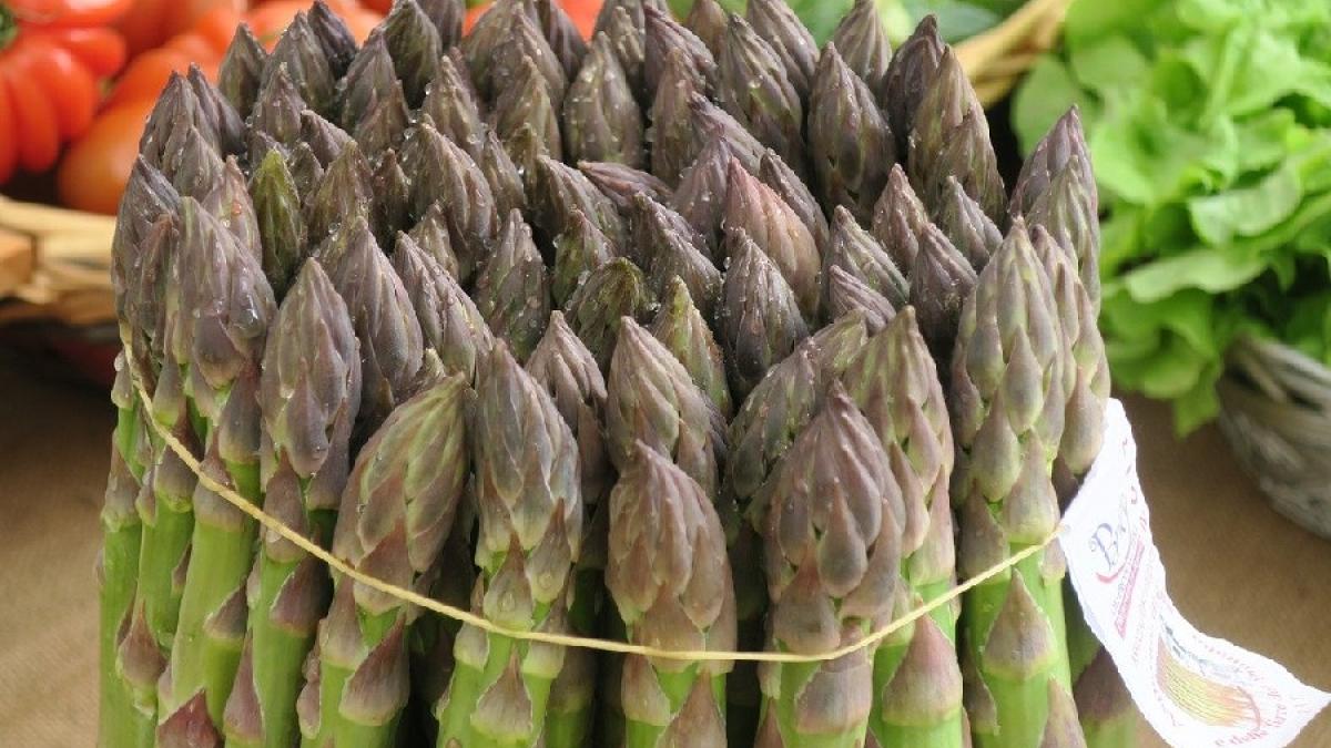 sparanghel_cules-pxb_02143400