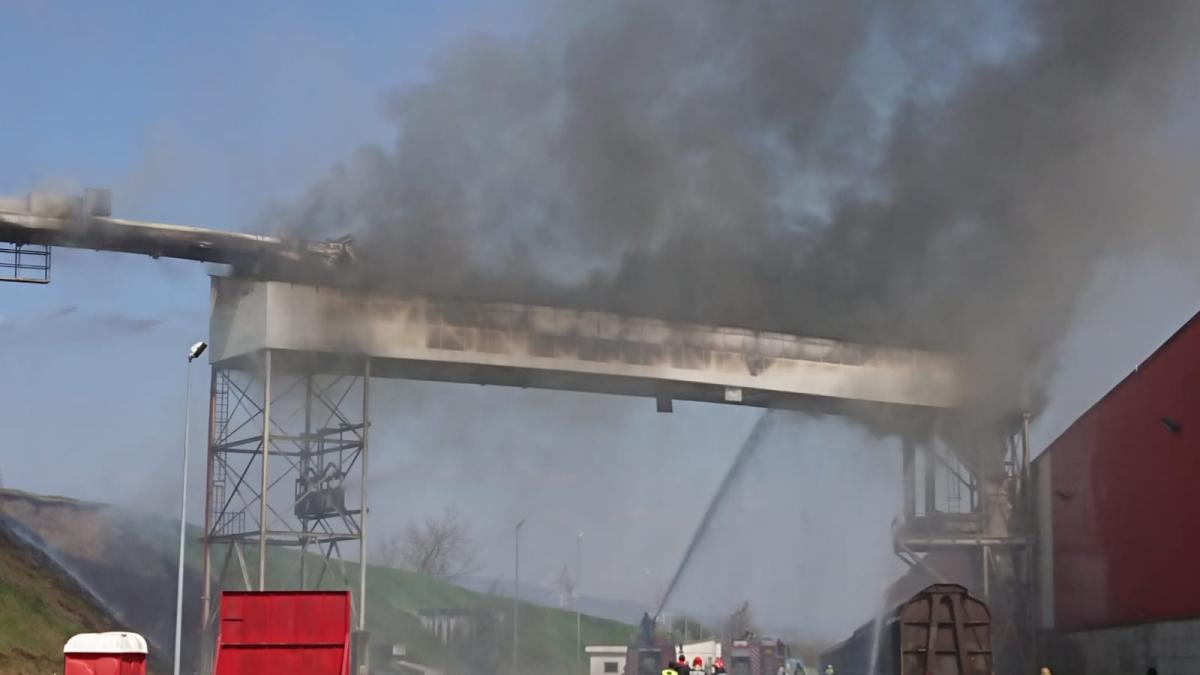 whatsapp-image-2020-04-12-at-12-08-24_44329100