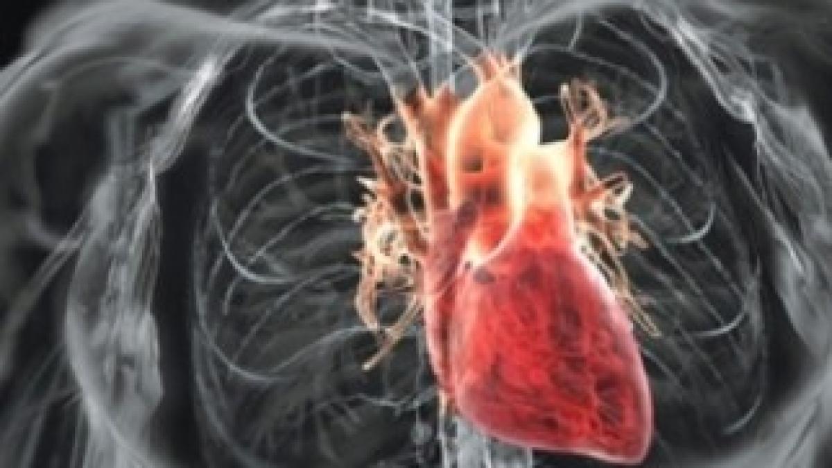 1297503426_bolile-cardiovasculare-un-flagel