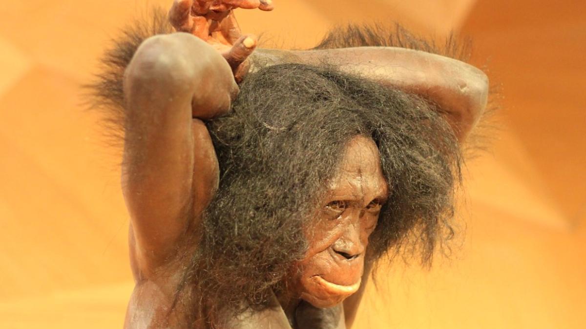 oameni_de_neanderthal_20133900