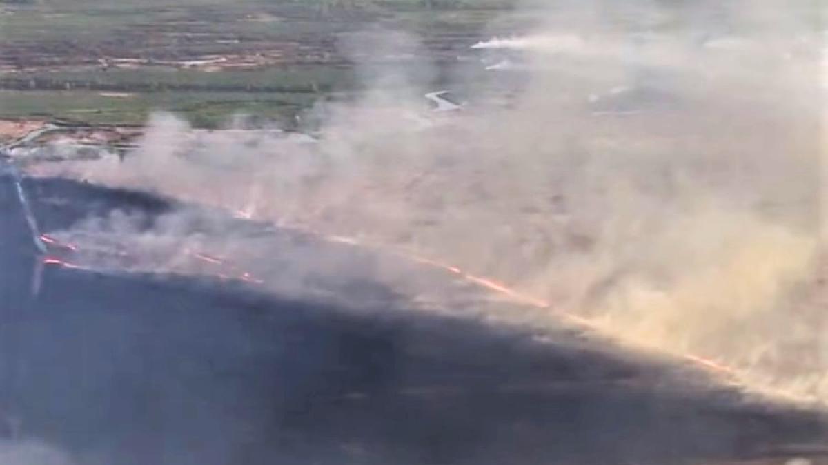 cernobal-incendiu-padure-cpv_42433700