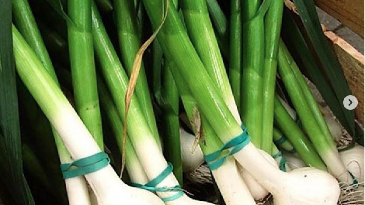 screenshot-2020-04-14-at-09-39-42_13225000