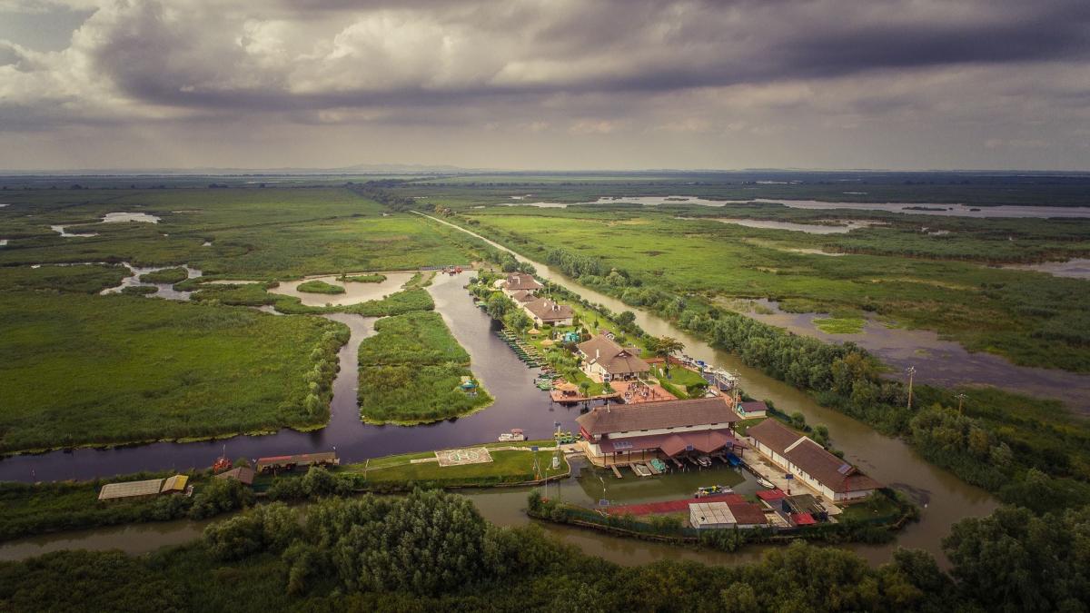 holiba-trei-bibani_81433000